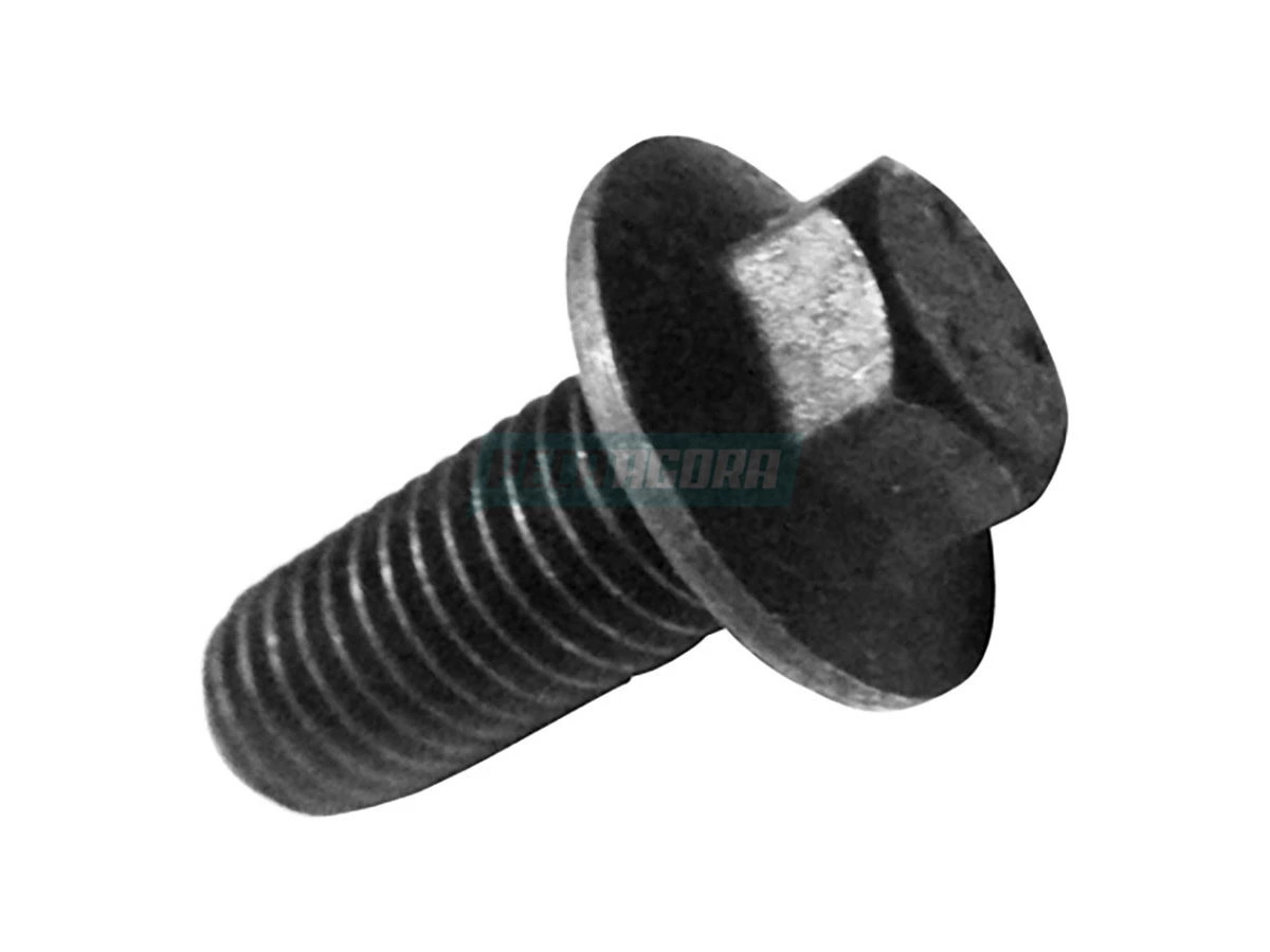 PARAFUSO (6010004033000)