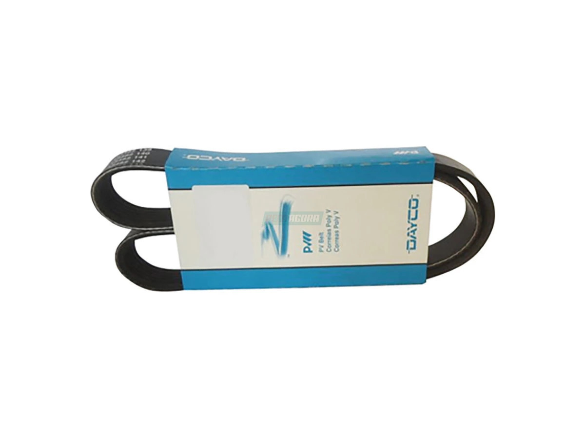 CORREIA POLY V FIAT DUCATO 2.8L TURBO DIESEL 8V 98 A 2006 ALTERNADOR BOMBA AGUA 