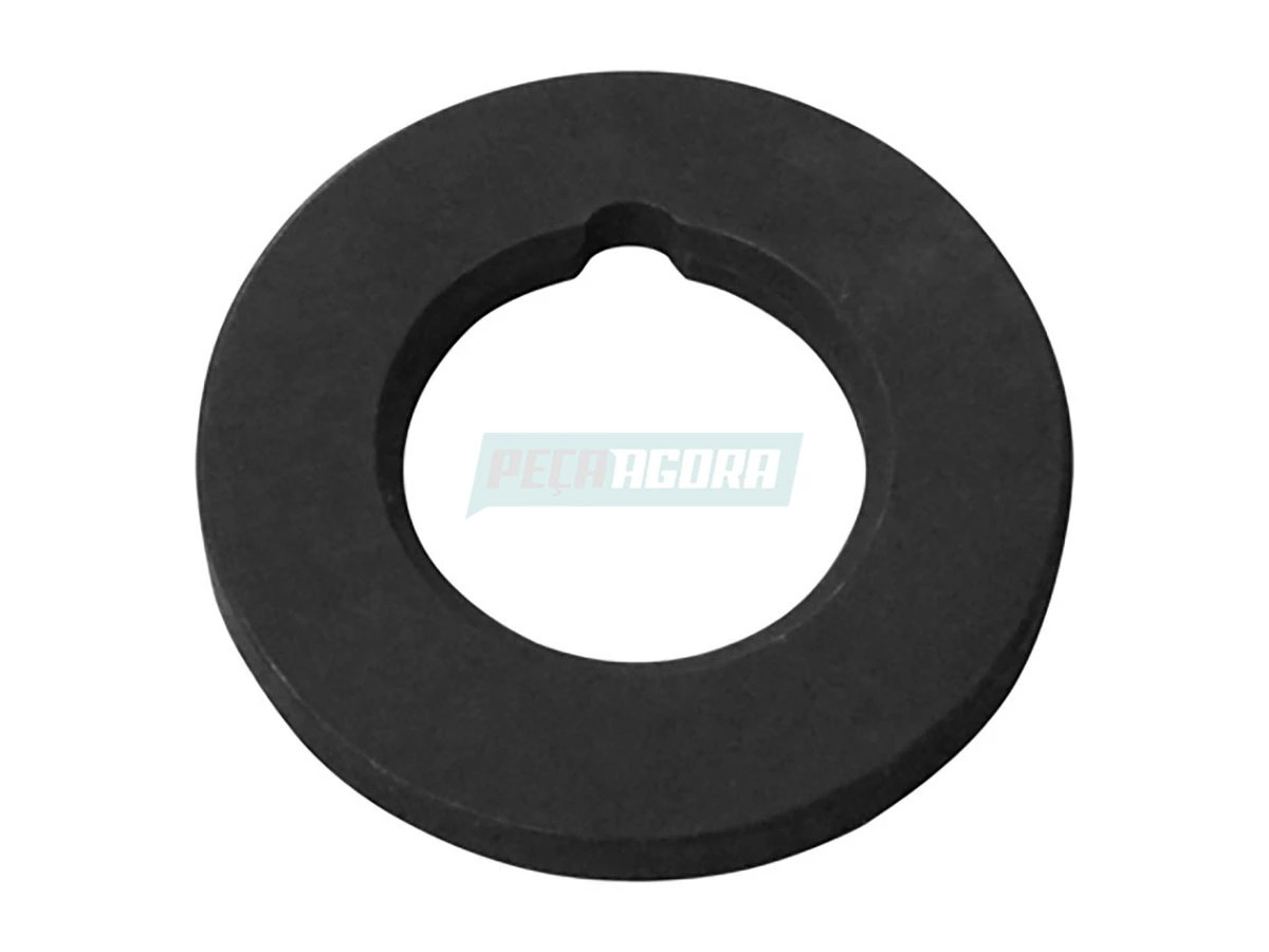 ARRUELA DE ENCOSTO 503355751 (503355751)