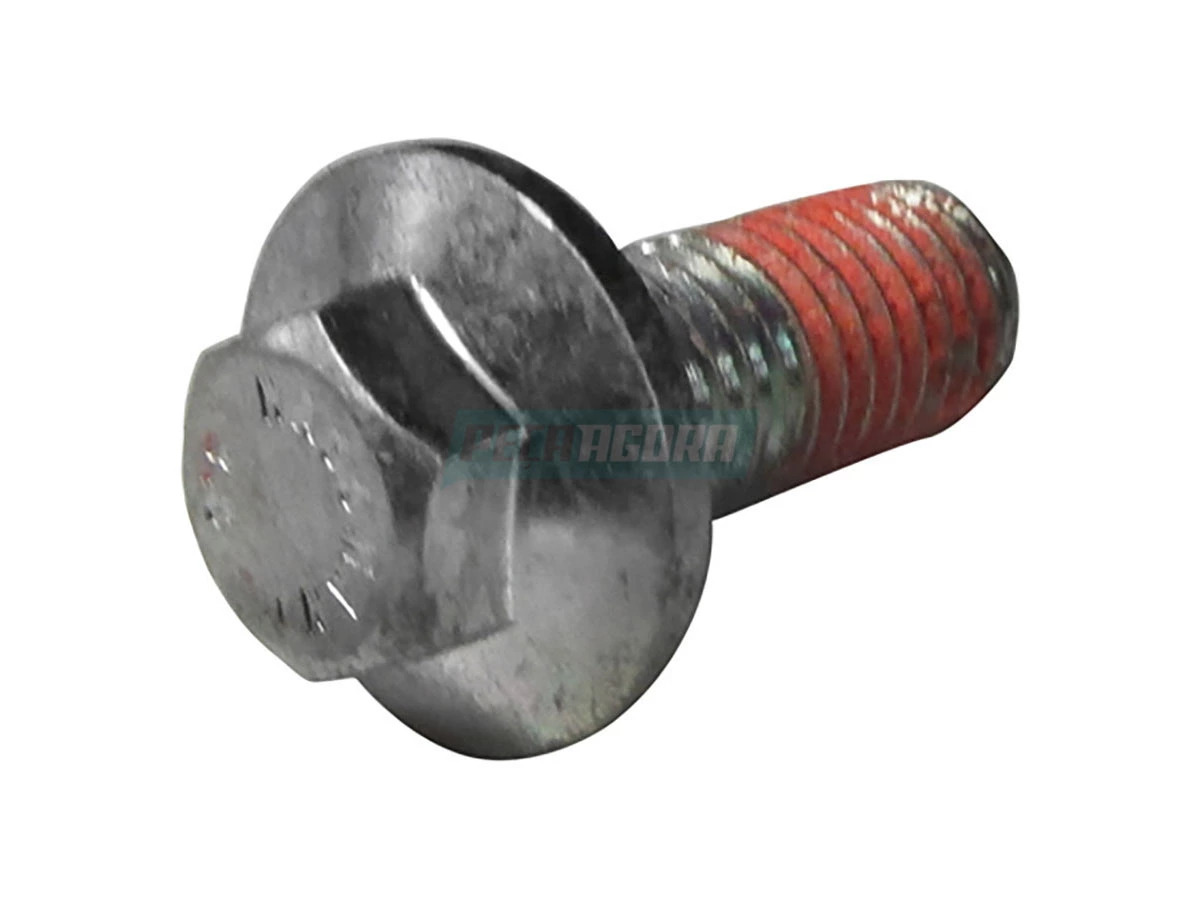 PARAFUSO (503355756)