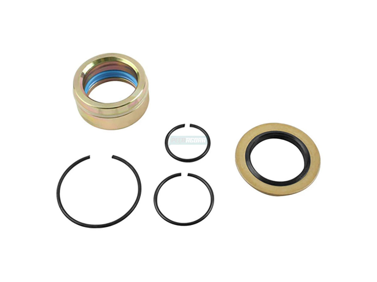 JOGO REPARO CILINDRO HIDRAULICO BASCULAMENTO CABINE PARA SCANIA P G R T-SERIES C