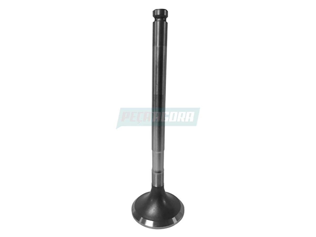 VALVULA ESCAPE FIAT DUCATO FIAT DUCATO MOTOR JTD 2.8 TURBO (VESFI28D)