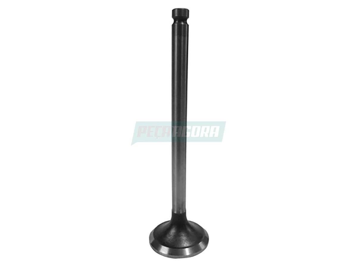 VALVULA ESCAPE FIAT DUCATO FIAT DUCATO MOTOR JTD 2.8 TURBO (VESFI28DB)