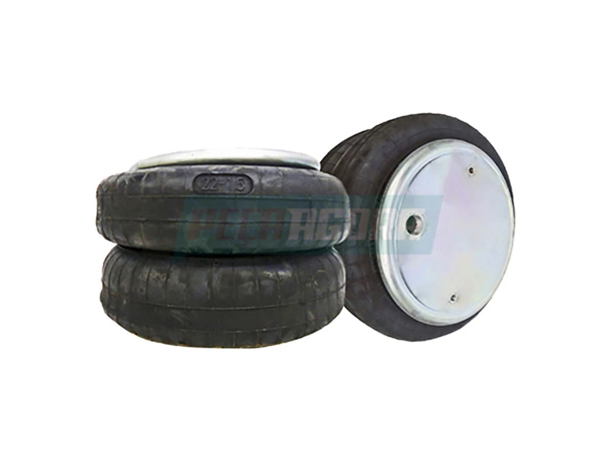 MOLA PNEUMATICA 22 1/5 MOLA PNEUMATICA 22 - 1/5 2 GOMOS (950258)