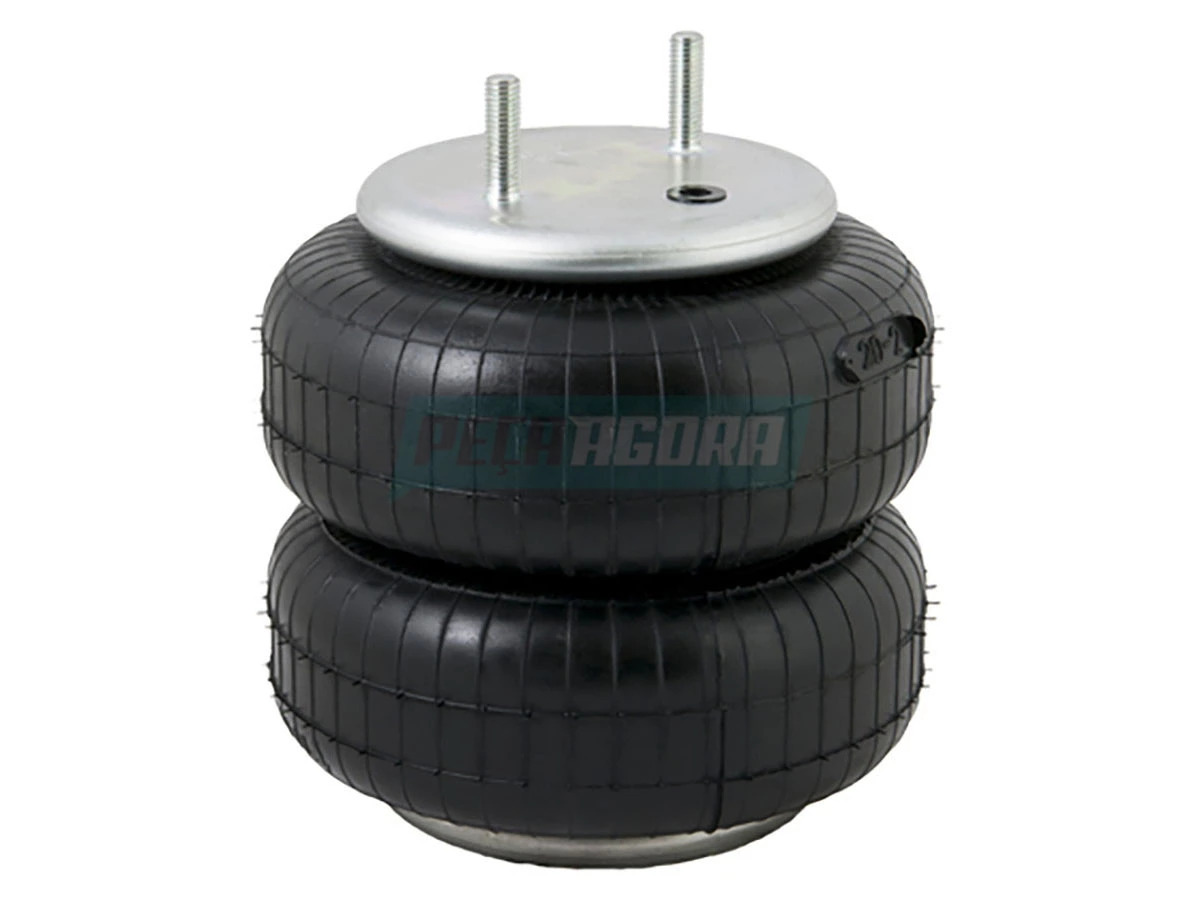 MOLA PNEUMATICA 20-2 T3 MOLA PNEUMATICA 20-2 T.3 (950327)