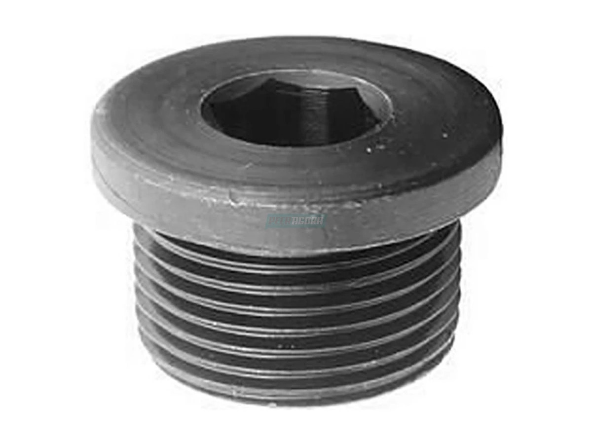BUJAO ROSCADO CARTER CABECOTE MB AXOR 2535 2540 2544 2644 MOTOR OM447 449  (0009