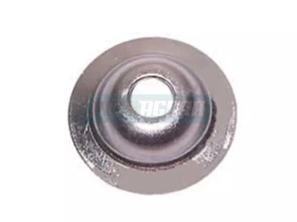 CAIXA 10   ARRUELA TRAVA CATRACA TRASEIRA CAMINHAO VOLVO  (CX.1503673**10)