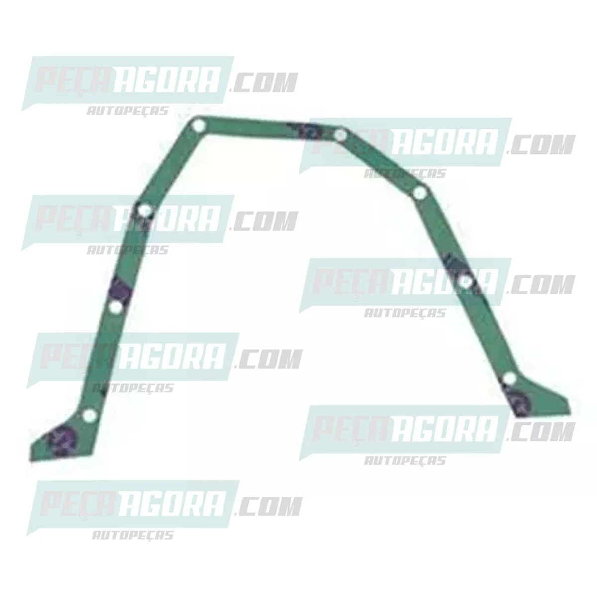 JUNTA TAMPA TRASEIRA CARCACA VOLANTE MOTOR (TJG103037)