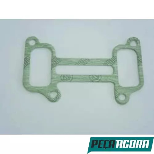 PRISSIONEIRO COLETOR ADMISSAO IVECO EUROCARGO TECTOR ONIBUS MOTOR NEF6 EURO 3  (