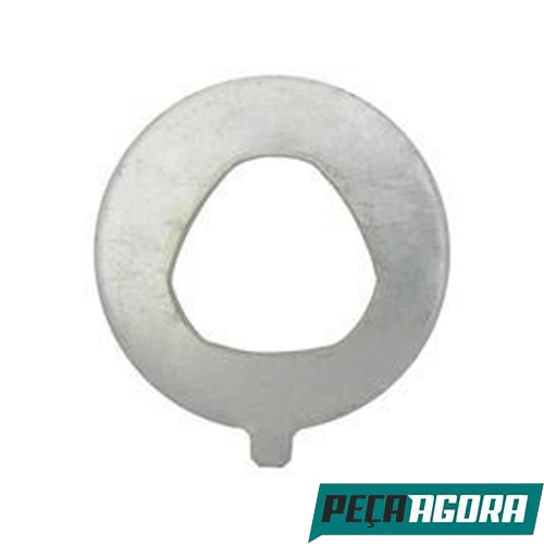 CAIXA 2 ARRUELA CUBO DIANTEIRO VOLVO NL (CX.1612349**2)