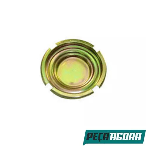 TAMPA TANQUE SEM FURO PARA SCANIA T112 (273120])