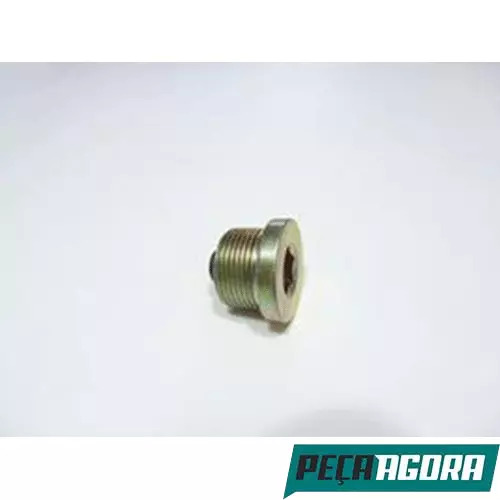  BUJAO CARTER 24X1.5 COM IMA HALLEN CH 12MM VOLVO N10 N12 NL (949175)