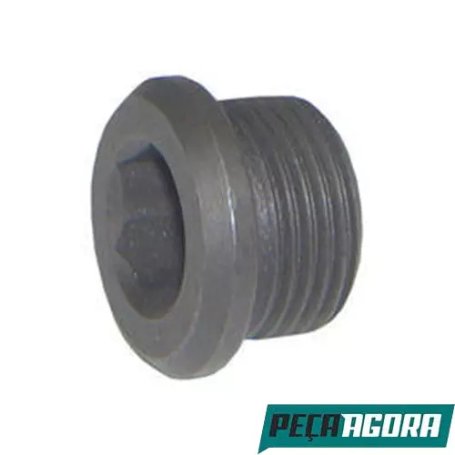 CAIXA 2 BUJAO DO BLOCO 20X1.5M HALLEN MERCEDES BENZ 0364 OF1618 1620 (CX.3149970