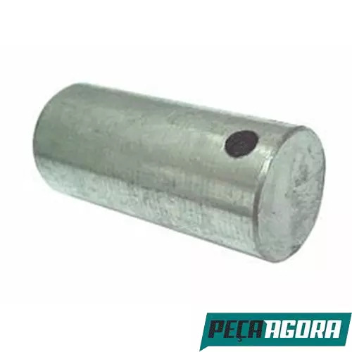  PINO ROLDANA PATIM FREIO PARA SCANIA LK LKS LKT141 BR116 T113 112 (154262)