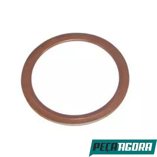CAIXA 10  ANEL MENOR COBRE TUBO ESCAPE TURBINA VOLKSWAGEN (CX.TE3253135AB**10)