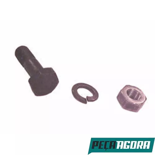 CAIXA 20  PARAFUSO DO CARDAN 10X1X30 10.9 COMPLETO MERCEDES BENZ (CX.3529900401A