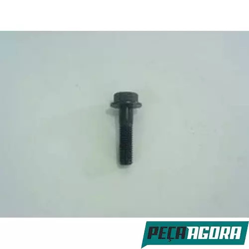 CAIXA 10  PARAFUSO FLANGEADO DE CAMBIO PARA SCANIA (CX.1320671**10)