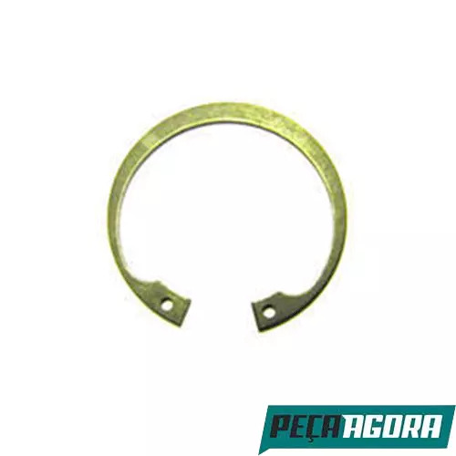 CAIXA 10  ANEL DA TRAVA DE ROLAMENTO DA BOMBA OLEO PARA SCANIA (CX.804831**10)