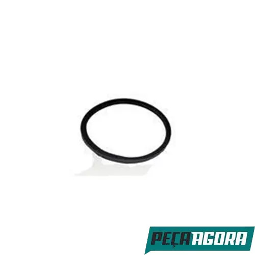 CAIXA 5  ANEL DA VALVULA TERMOSTATICA PARA SCANIA (CX.170205**5)
