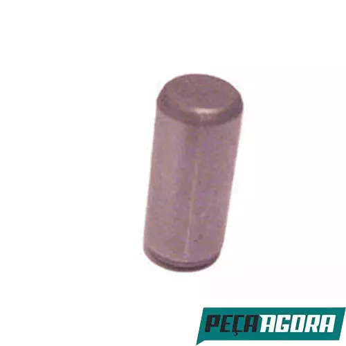 PINO DO MANCAL DO VIRABREQUIM 10X23 (000007010227)