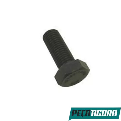   PARAFUSO APLICACOES DIVERSAS 12X1.75X30 8.8 933 (933012154)