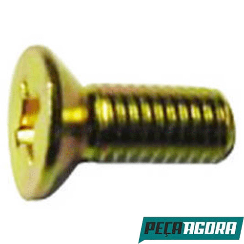 CAIXA 10  PARAFUSO PHILIPS 8X20 CABECA CHATA (CX.000965008003**10)