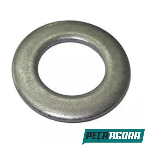   ARRUELA LISA 16X30X2.88MM (000125016100)