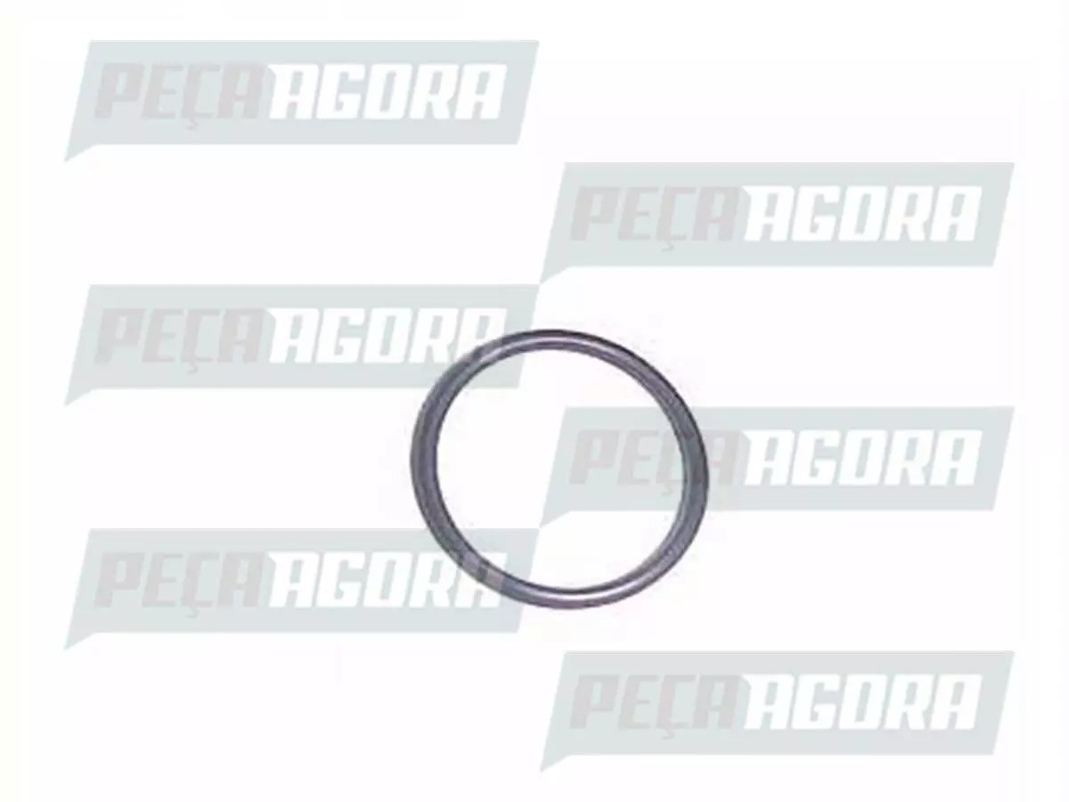 CAIXA 20 ANEL ORING BICO INJETOR NITRILICO 17.17X PARA SCANIA 124  (CX.1340615,]