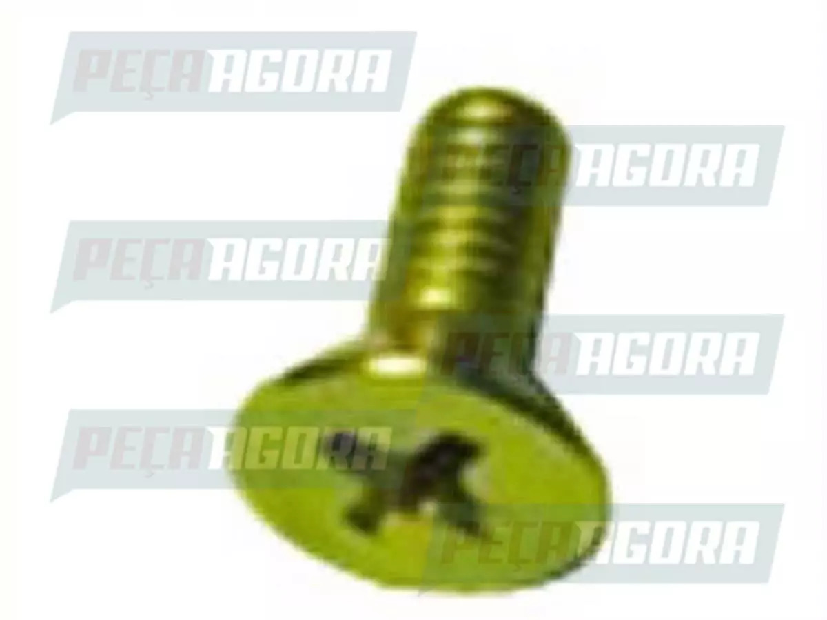  PARAFUSO PHILIPS 4X10 MB MERCEDES BENZ AGL  (000965004021)