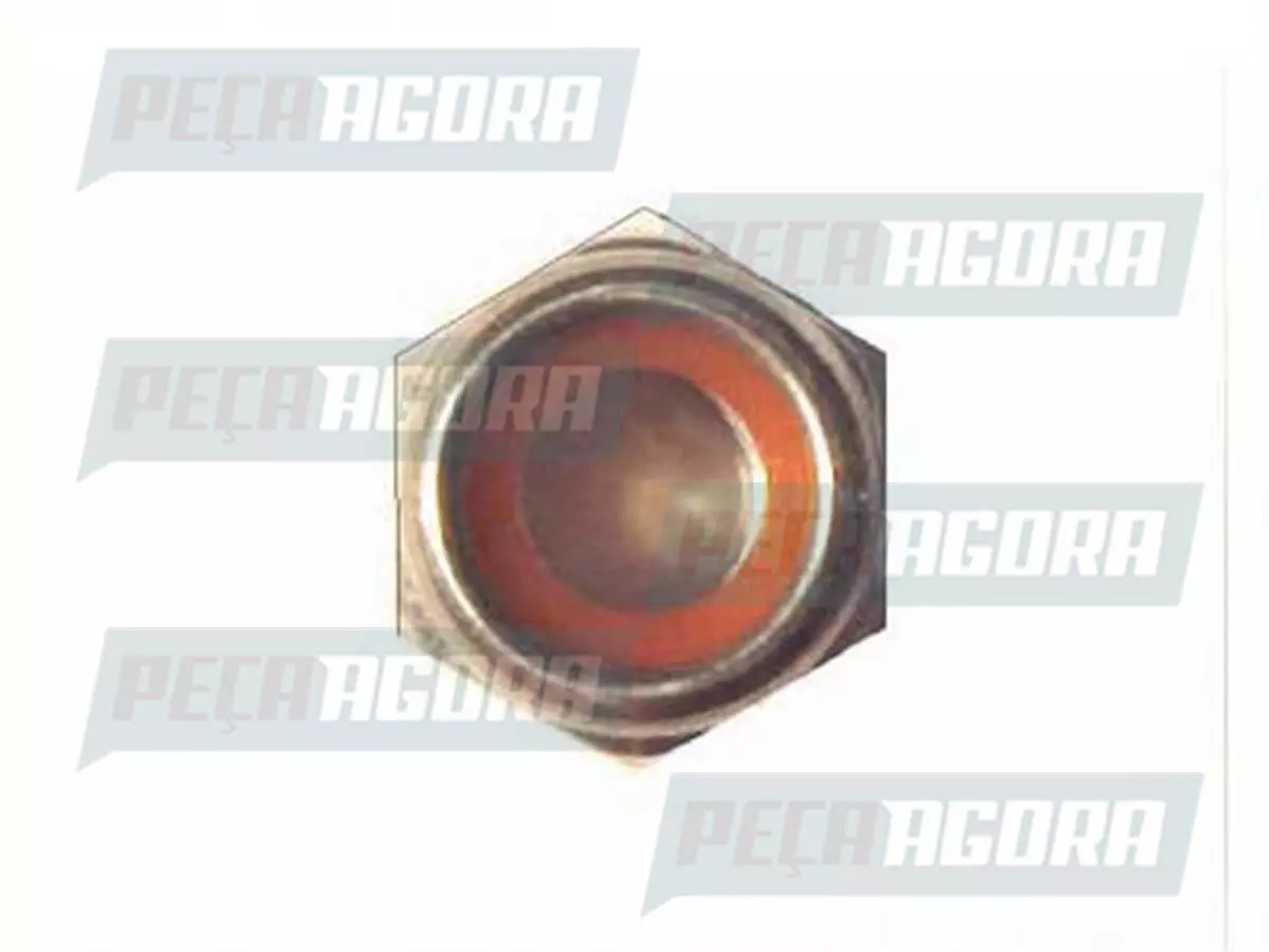  PORCA PARLOC COM NYLON 8X1.25MM BAIXA MB MERCEDES BENZ TODOS 8X1.25X8.00MM  (91