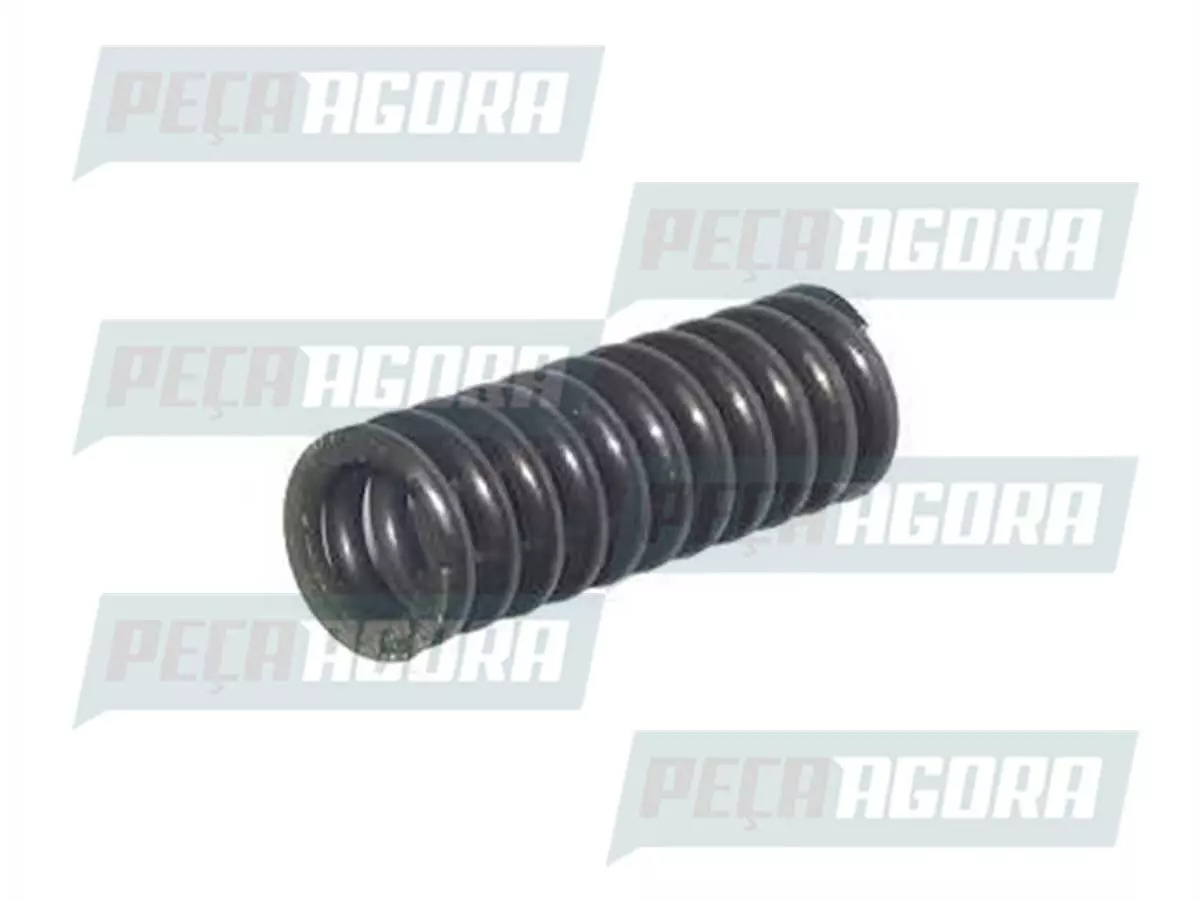 CAIXA 5 MOLA BOMBA OLEO 45MM PARA SCANIA SERIE 3  (CX.297488**5)