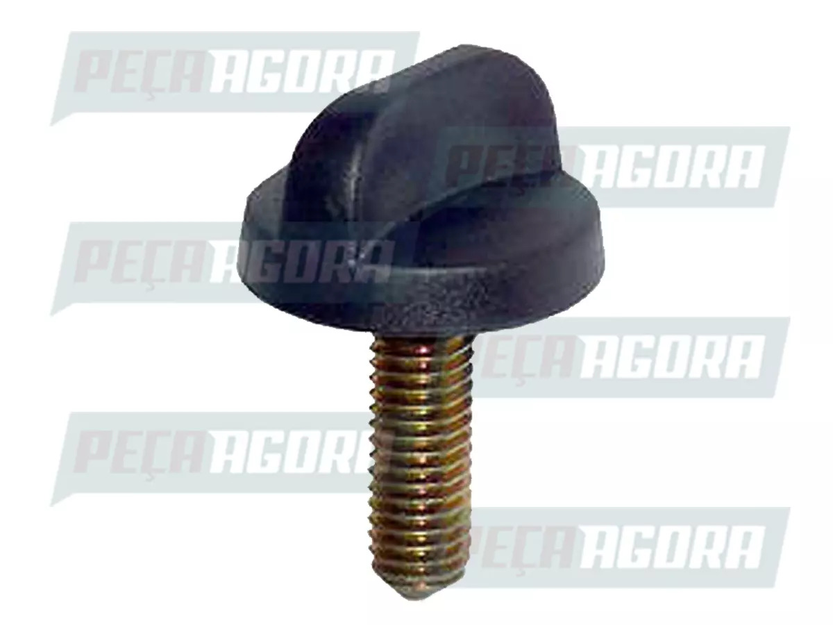 CAIXA 10  PARAFUSO DE FIXACAO DO PAINEL PLASTICO MERCEDES (CX.6946807684**10)