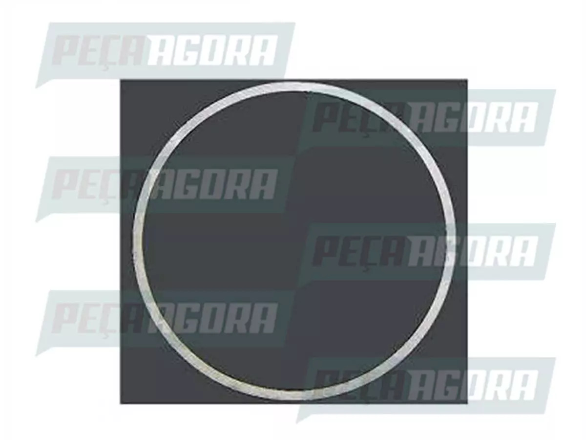 CAIXA 6 CALCO CAMISA 0.20 ACO VOLVO N NL10 B58 B10M  (CX.422619,**6)