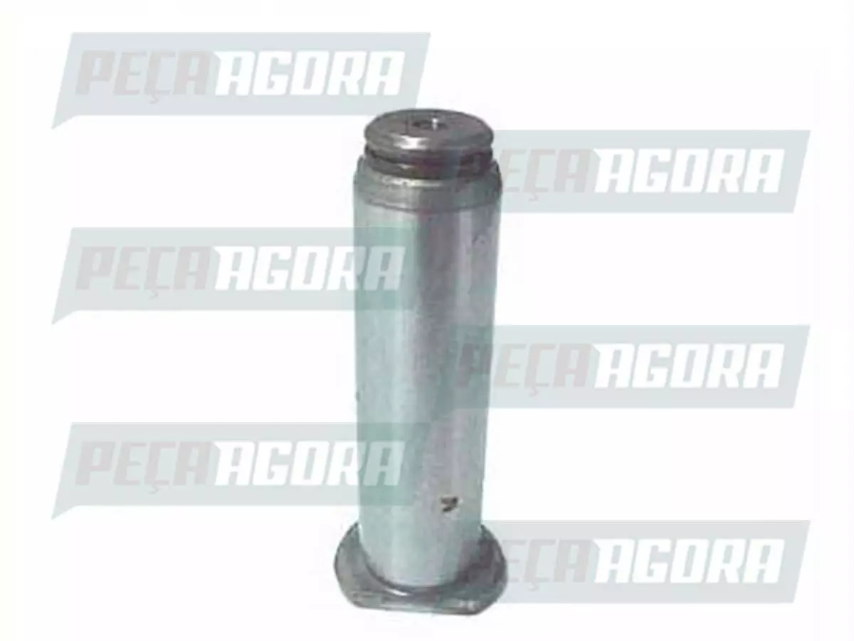 PINO ROLETE PATIM 20X73MM SEM RETIFICA MB MERCEDES BENZ OF 1313 1318 HPN LS 1632