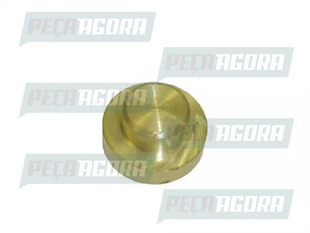 BRONZE PARAFUSO COROA 1519 MAIOR MB MERCEDES BENZ 1519  (3173530049,])