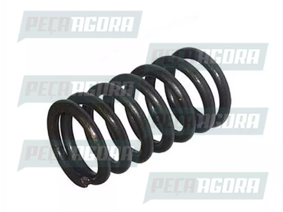 MOLA VALVULA MB MERCEDES BENZ OM 457LA  (5410530120,])