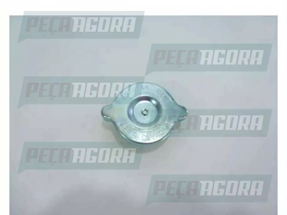 CAIXA 2 TAMPA RADIADOR 10 LIBRAS MB MERCEDES BENZ 1620 1622 2638  (CX.6955017015