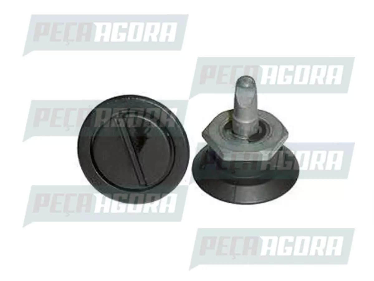 CAIXA 2 PINO TRAVA CAPO FORD CARGO TODOS  (CX.81DB16C680AA,]**2)