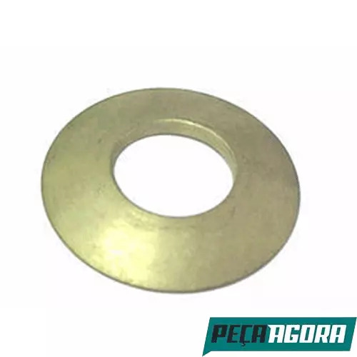  ARRUELA SATELITE STD MERCEDES BENZ L 1111 1113 LPO (3123531224)