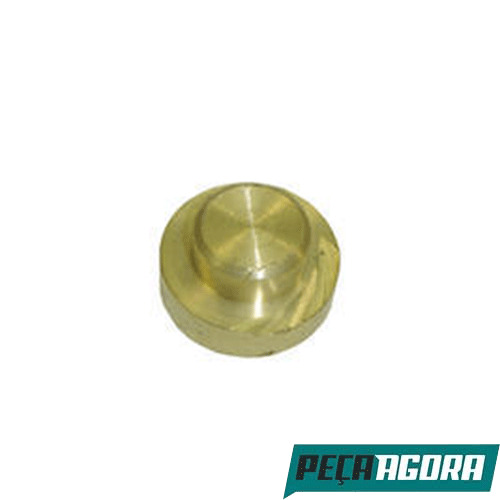  BRONZE PARAFUSO COROA 1519 MAIOR MERCEDES BENZ 1519 (3173530049)