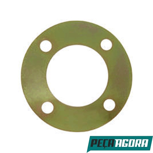  LAMINA ACOPLAMENTO BOA INJETORA PARA SCANIA 140 141 FTRK112 (192638H)