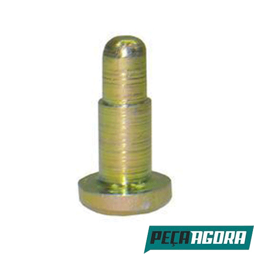 CAIXA 2  PINO DE RETENCAO MOLAS FREIO MERCEDES BENZ (CX.6704230174**2)