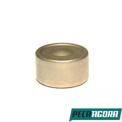 CAIXA 10  ROLAMENTO AGULHA ALAVAVANCA CAMBIO VOLVO N NR (CX.1662548**10)