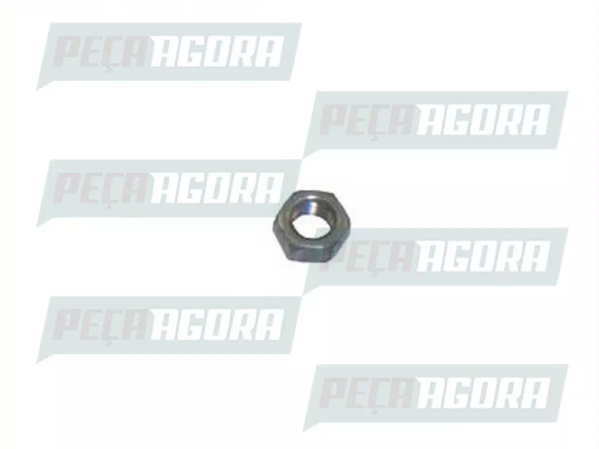  PORCA 6X1MM PARA SCANIA TODOS  (815122)