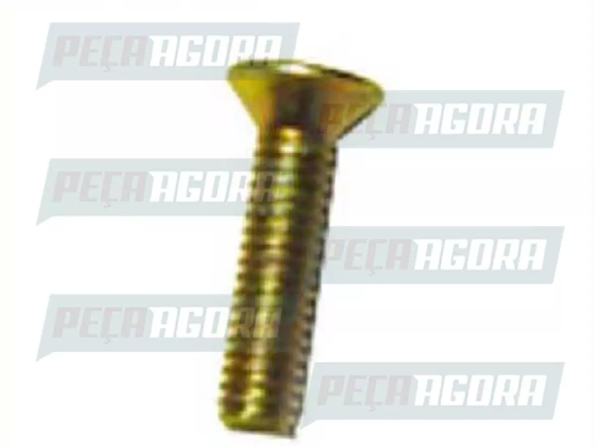  PARAFUSO PHILIPS 4X16 MB MERCEDES BENZ L 608  (000965004003)