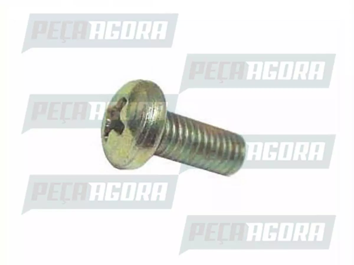  PARAFUSO PHILIPS 5X1X12 PARA SCANIA R 113  (805939)