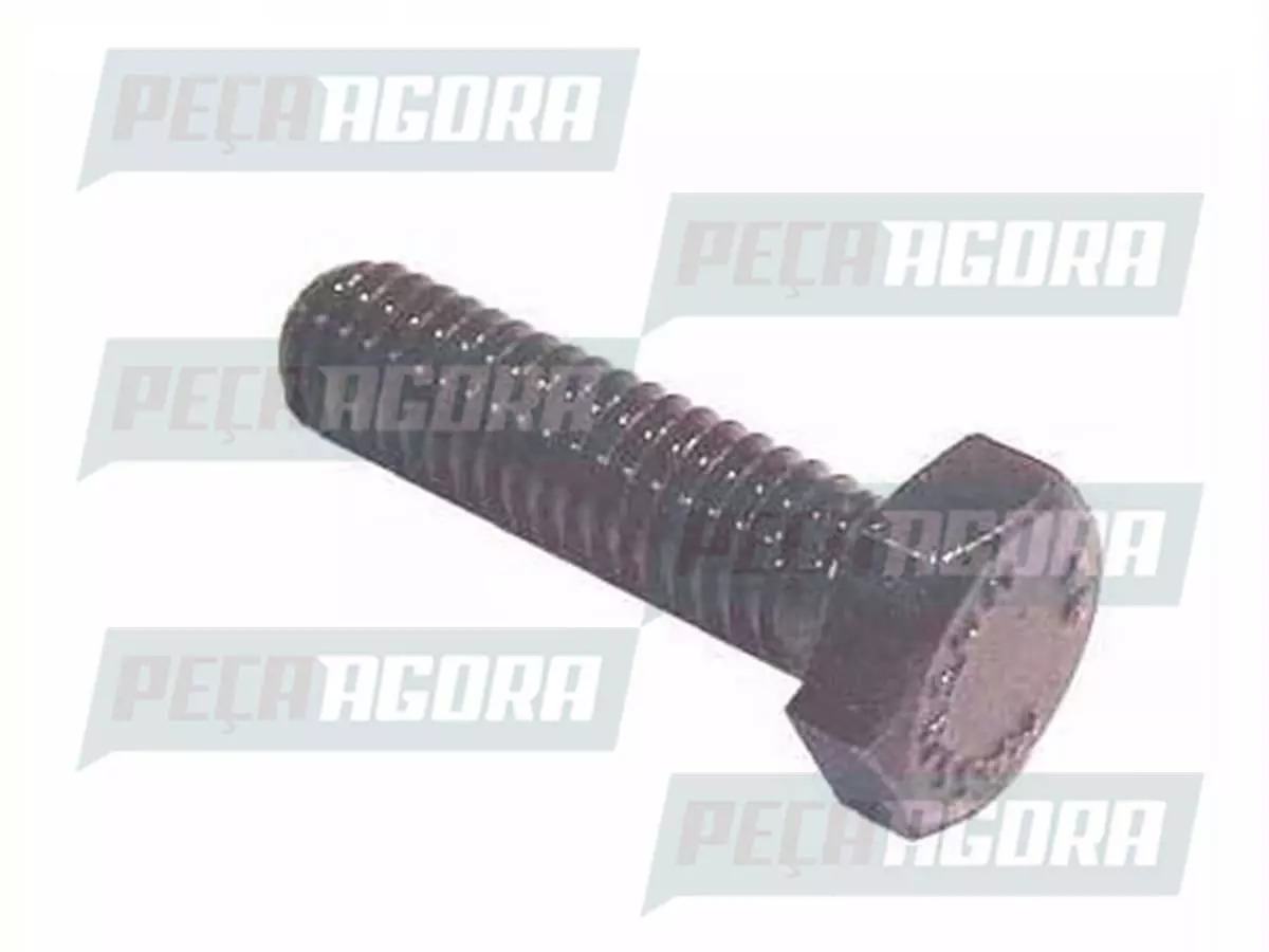  PARAFUSO 6X1X22 8.8 RT VOLVO DIVERSOS  (955273)