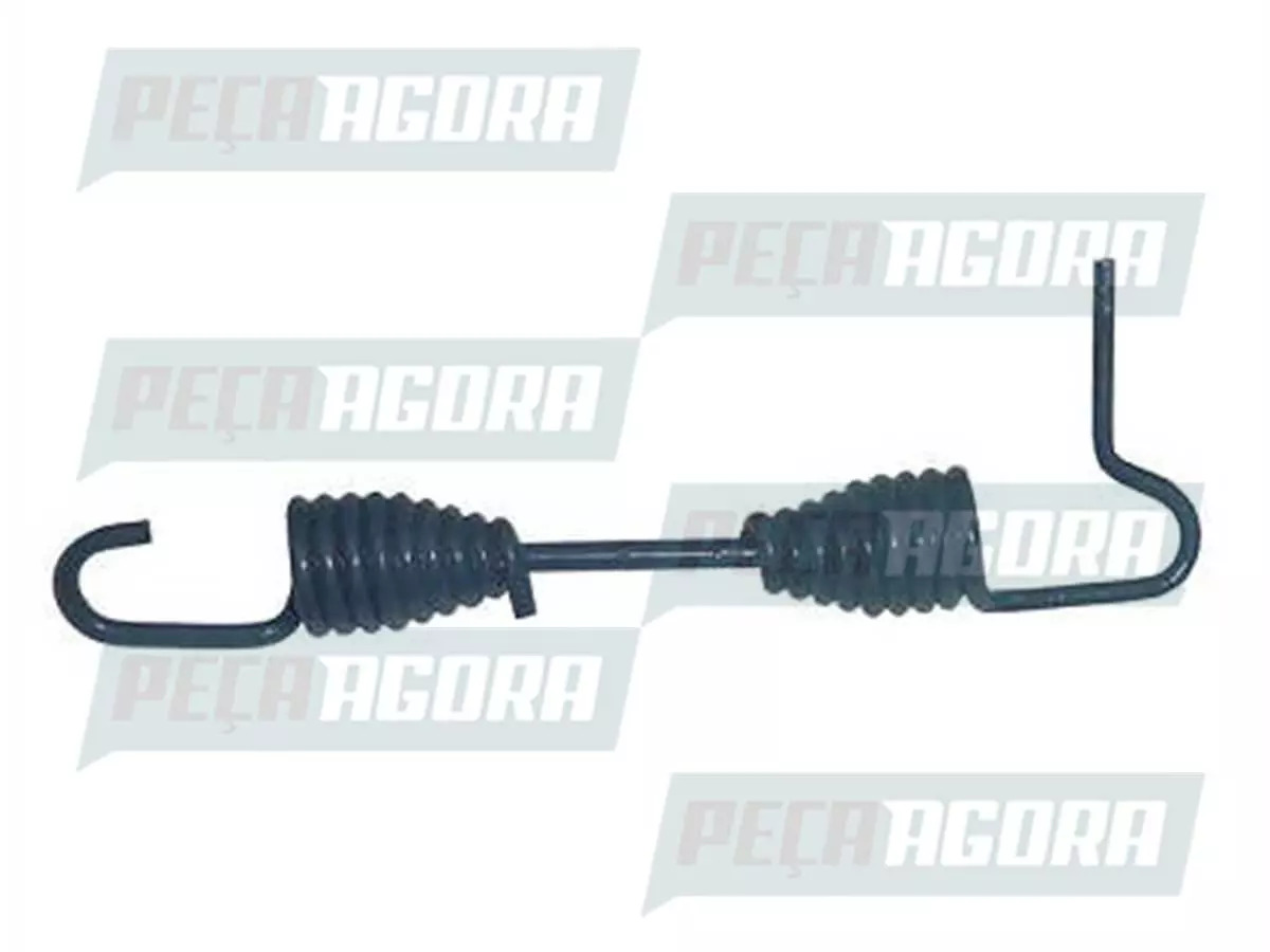 CAIXA 5 MOLA PATIM DUPLA COM RABICHO 220MM REFORC. S FREIO MASTER  (CX.\00993222