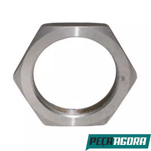  PORCA CARCACA VOLKSWAGEN TODOS LEVES DELIVERY (2989067)