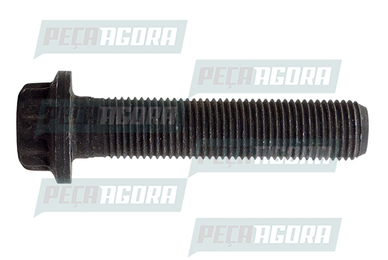 CAIXA PARAFUSO BIELA MB MERCEDES BENZ O 364/ O 366 (CX.9060380071**5)
